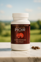 Pioir Ganoderma Bolivia